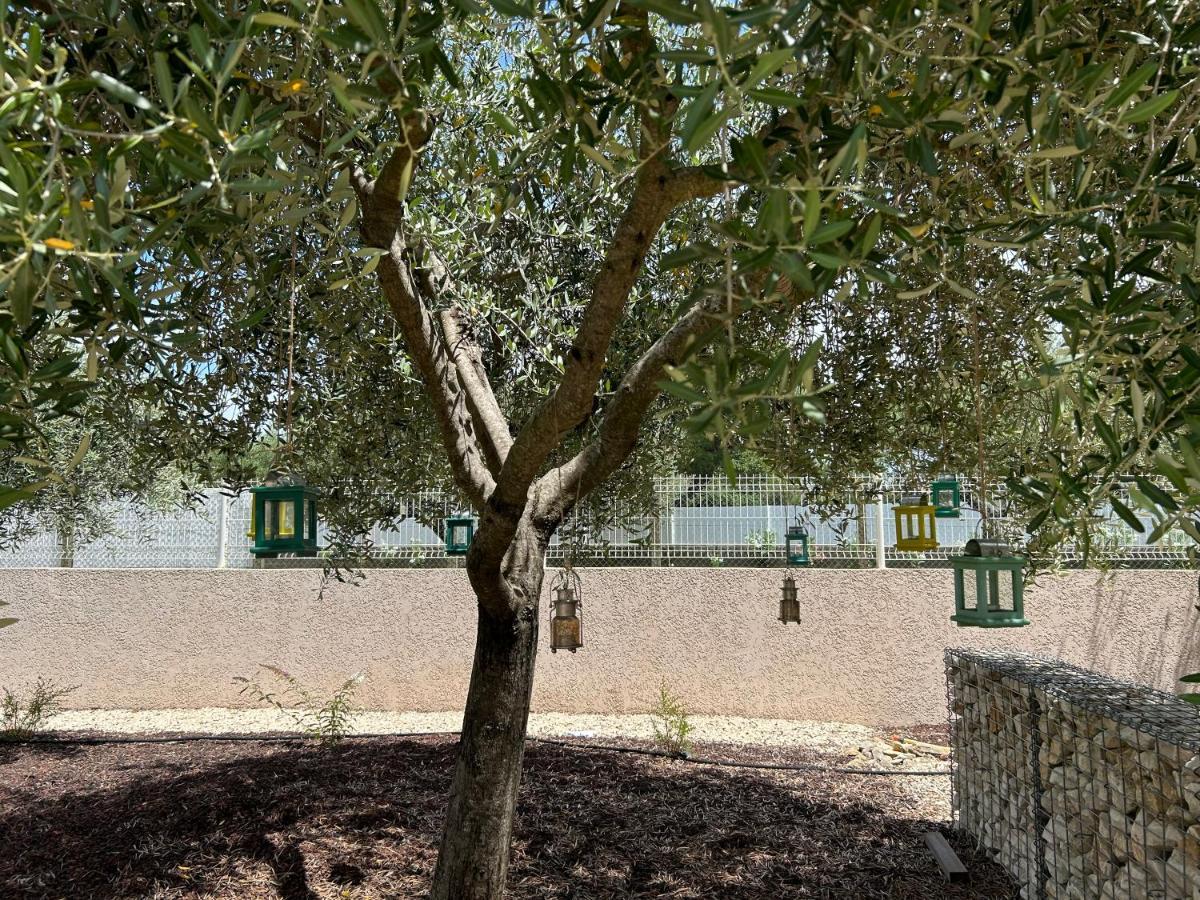 Bed and Breakfast Au Ciel Etoile Castillon-du-Gard Exterior foto